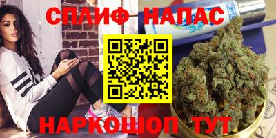 сатива Гусев