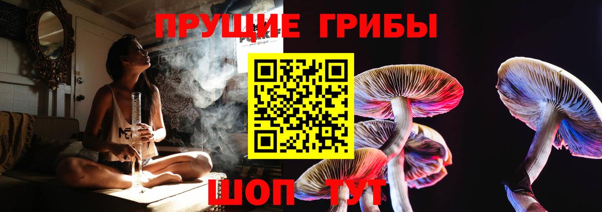 Партизанск  Галлюциногенные грибы MAGIC MUSHROOMS  Вход с VPN  Галлюциногенные грибы ЛСД 